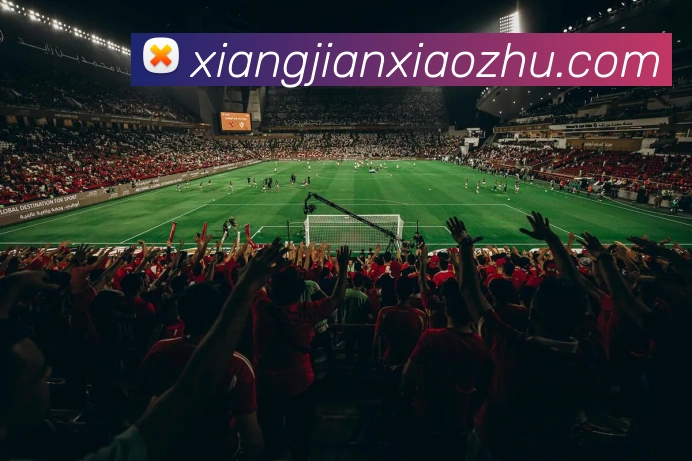 奖项证书